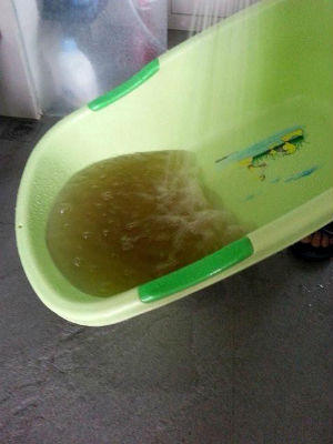 Cư dân Mulberry Lane khiếp đảm vì nước bẩn, thang máy rơi, báo cháy giả